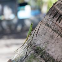 IMG_9379.jpg