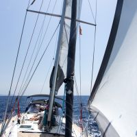 IMG_8964.jpg