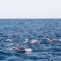IMG_9565.jpg